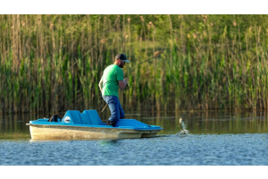 how-to-catch-trout-gear-guide