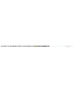Gold Tip Nugent Wht 400 2" Raptor
