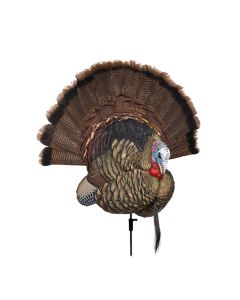 Avian-X Trophy Tom Turkey Decoy AVX8021