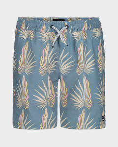 Billabong Boys Lineup Layback Swim Trunk BWFJK03F
