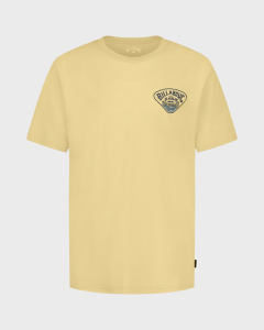 Billabong Boys Scenic Arch Tee BSFJA24F-270