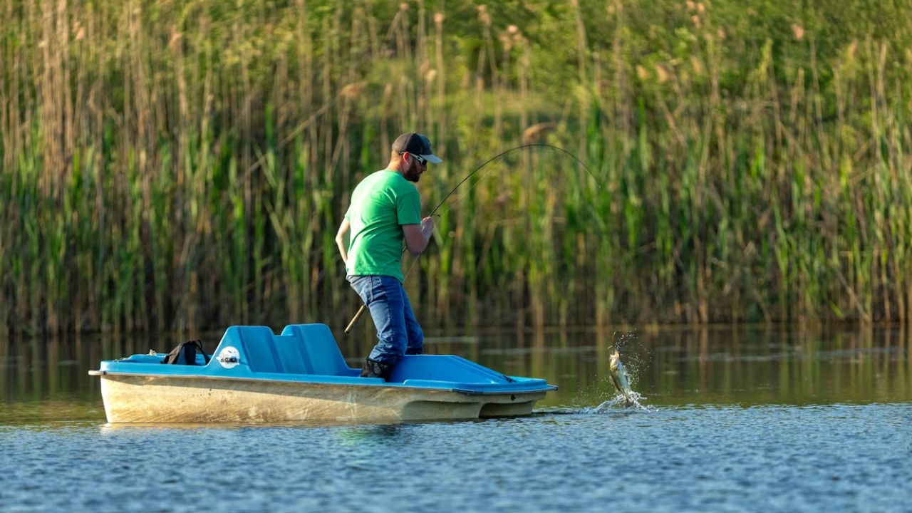 how-to-catch-trout-gear-guide