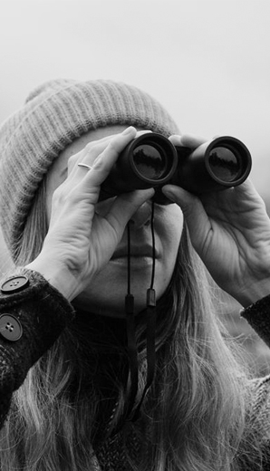 Taking A Look